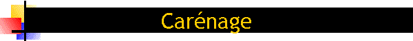 Car�nage